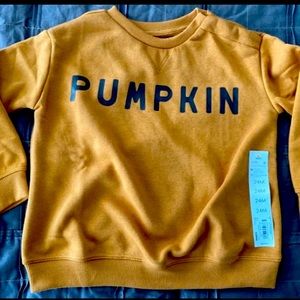 NWT Lauren Conrad Little Co. Pumpkin Sweatshirt Pullover 24 Months